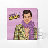 Harry Styles Coaster