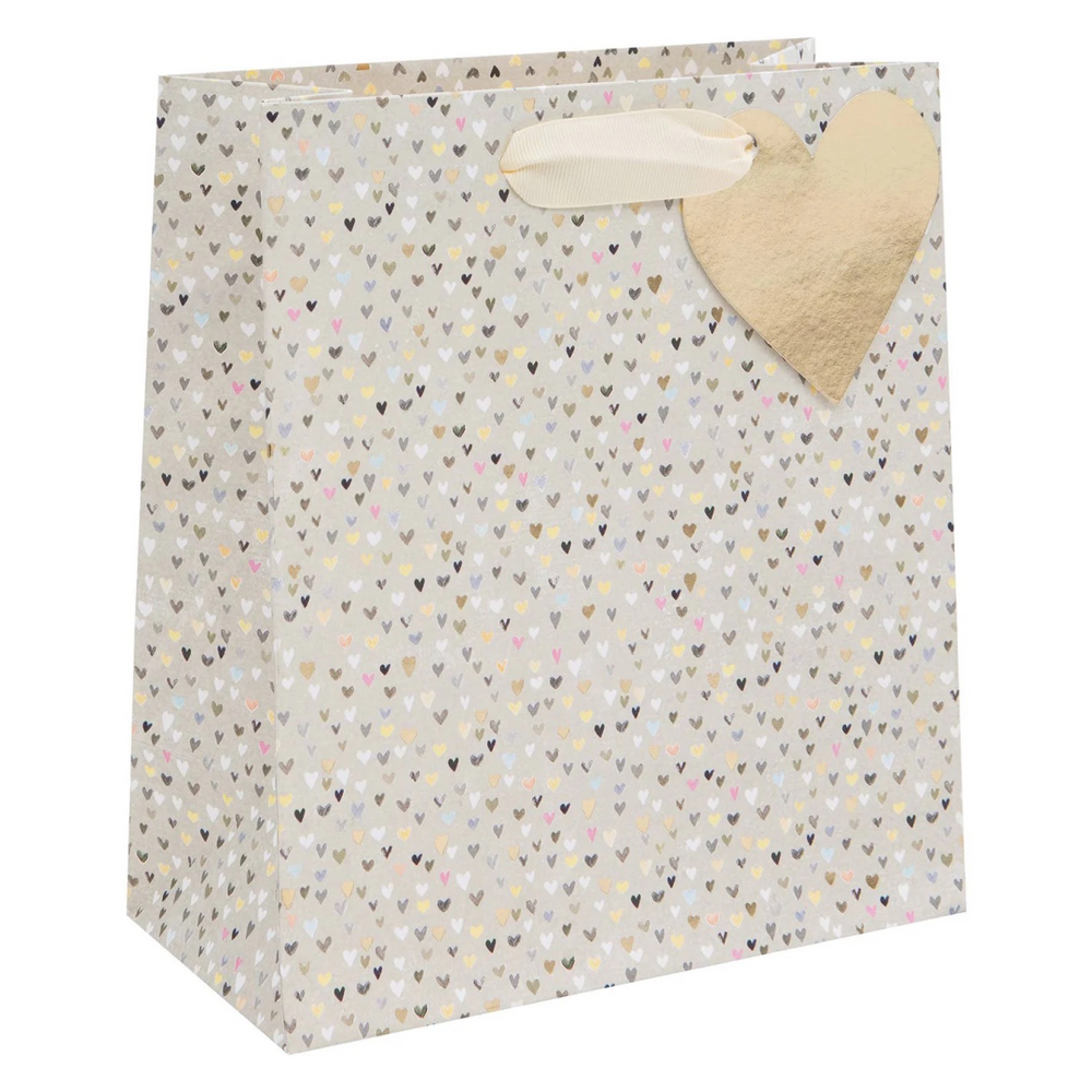 Cute Hearts Gift Bag