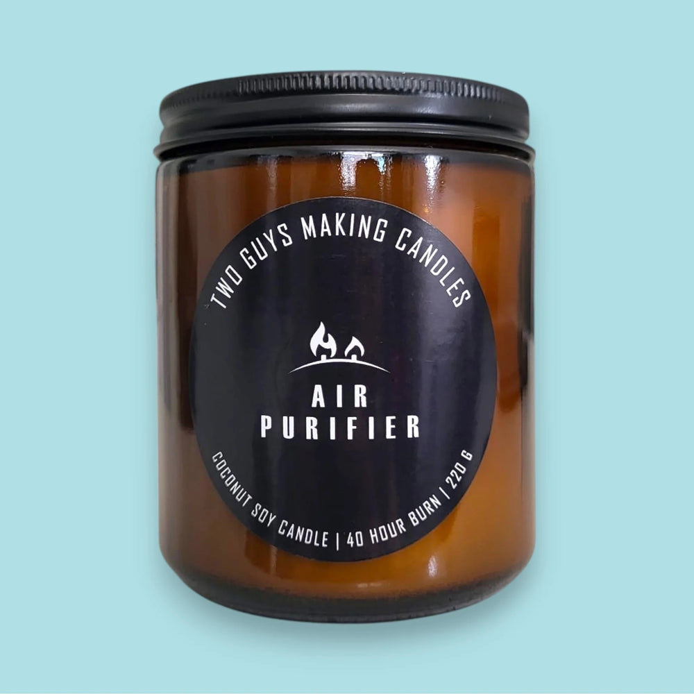 Air Purifier Coconut Soy Candle | Woodwick