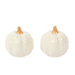 Pumpkin Salt + Pepper Shaker Set | White