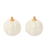 Pumpkin Salt + Pepper Shaker Set | White