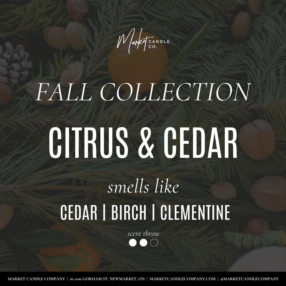 Citrus + Cedar Soy Candle
