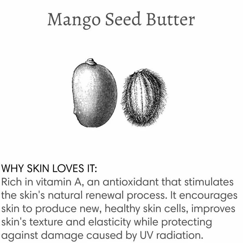 Moisturizing Mango Butter Lip Balm