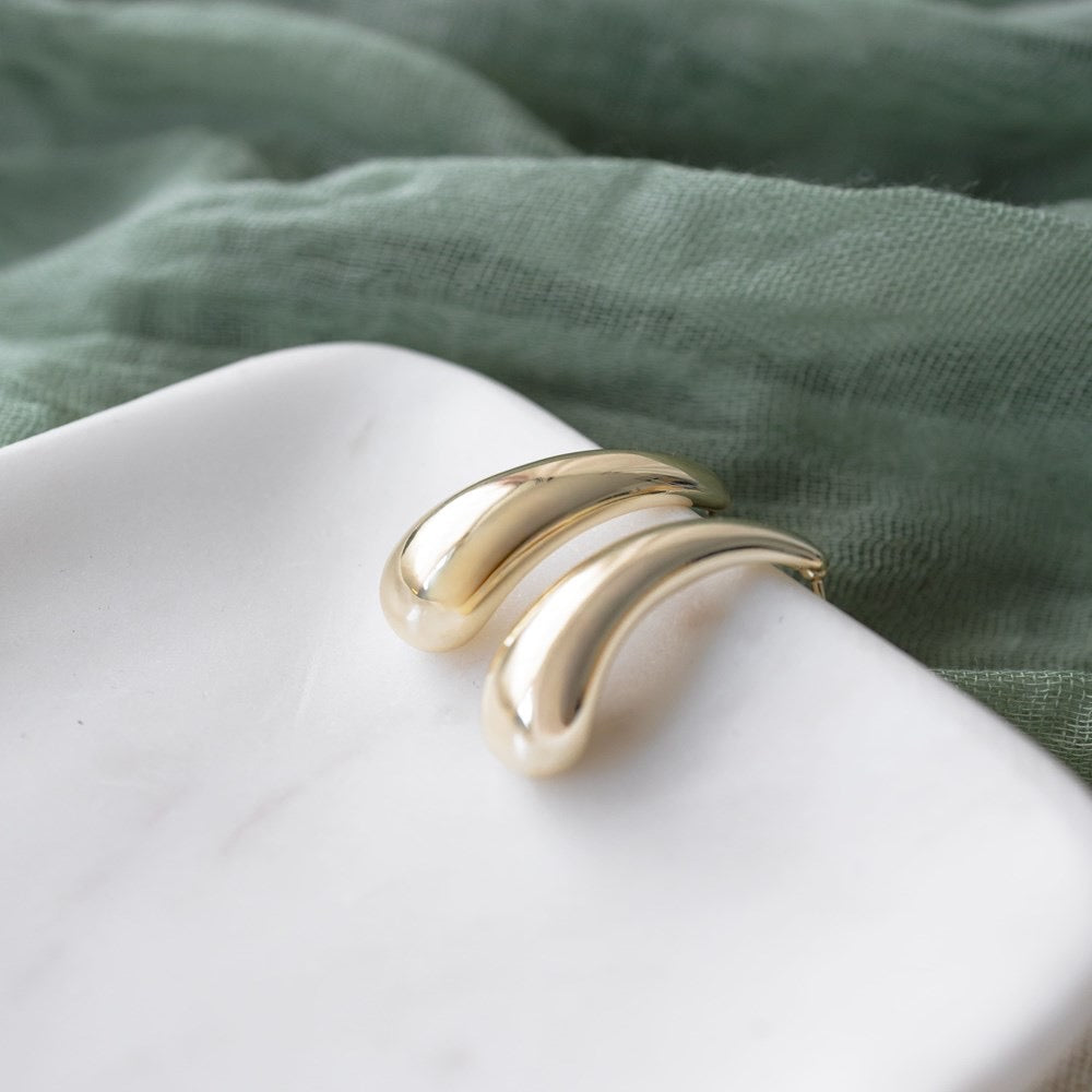 Power Curve Earrings