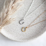 Horseshoe Necklace