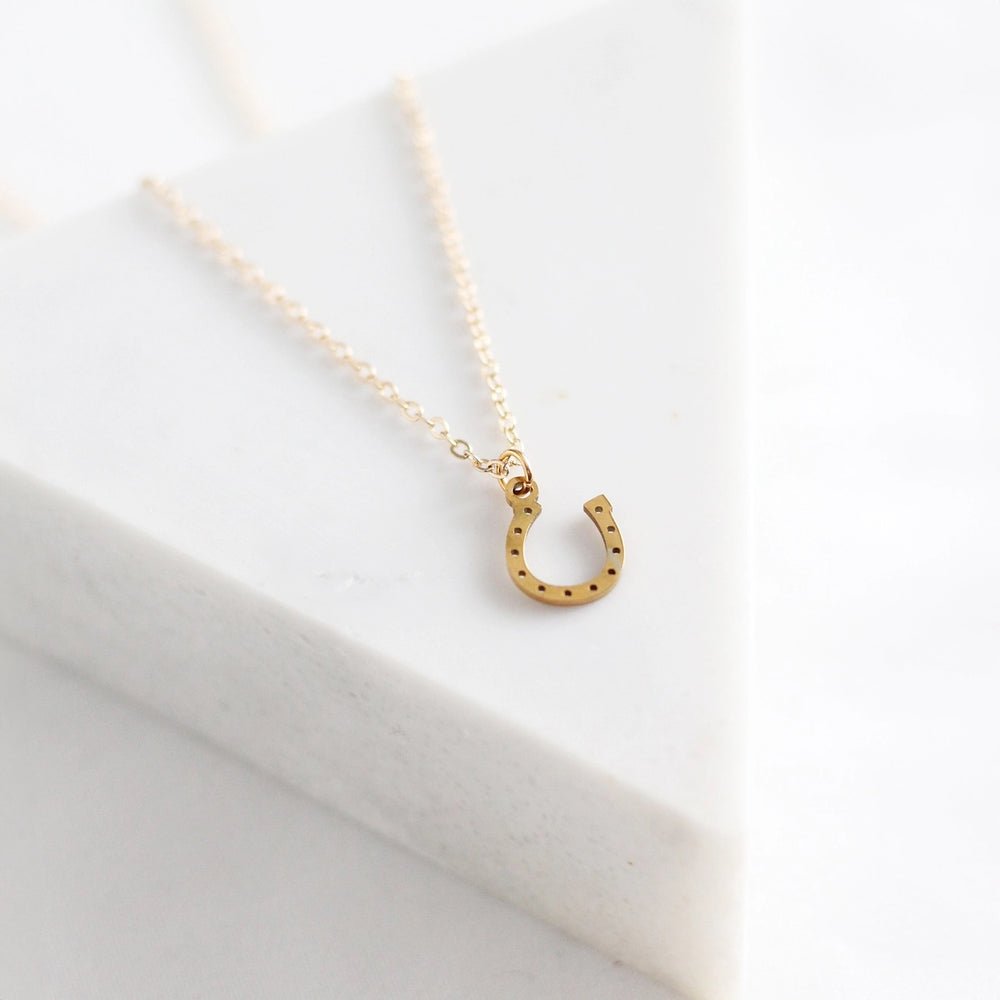 Horseshoe Necklace