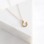 Horseshoe Necklace