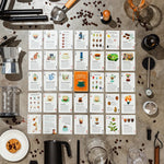 The Coffee Deck: A Playful Guide To Coffee