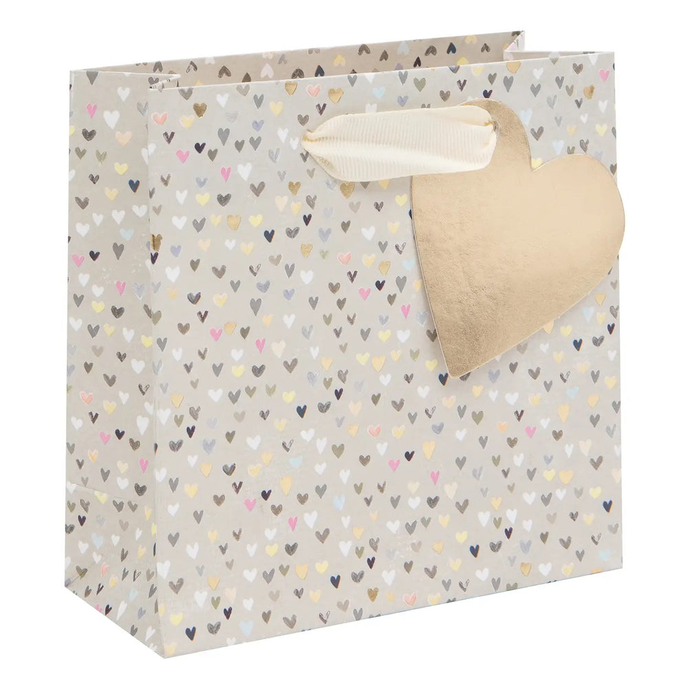 Cute Hearts Gift Bag