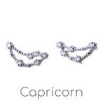 Zodiac Constellation Stud Earrings
