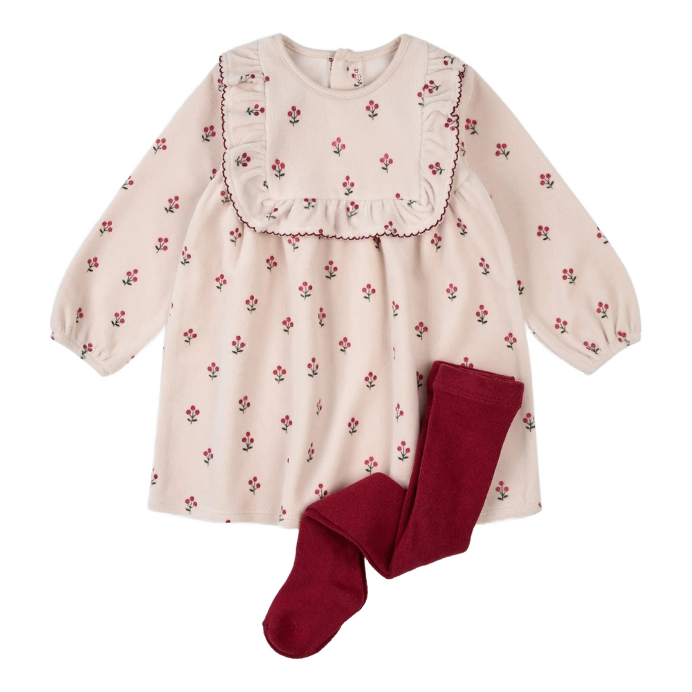 Winterberry Print on Velour Dress with Tights