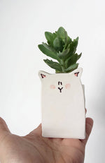 Small Animal Ceramic Planter