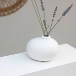 Matte White Ceramic Vases
