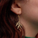 Juniper Branch Earrings