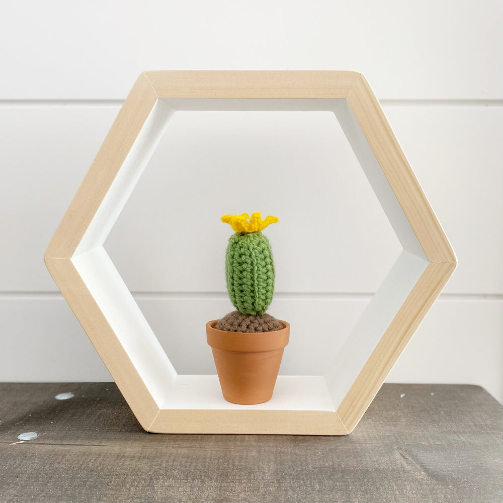 Crochet Cactus