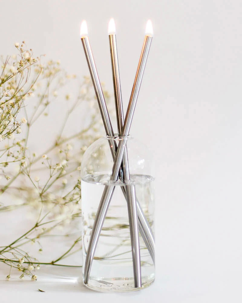 Everlasting Candles + Wylie Vase (3 colour options)