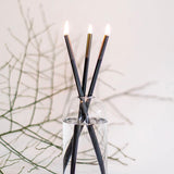Everlasting Candles + Wylie Vase (3 colour options)