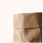 Kraft Paper Planter