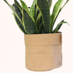Kraft Paper Planter