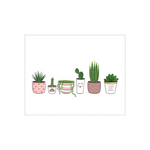 Succa for Plants Print