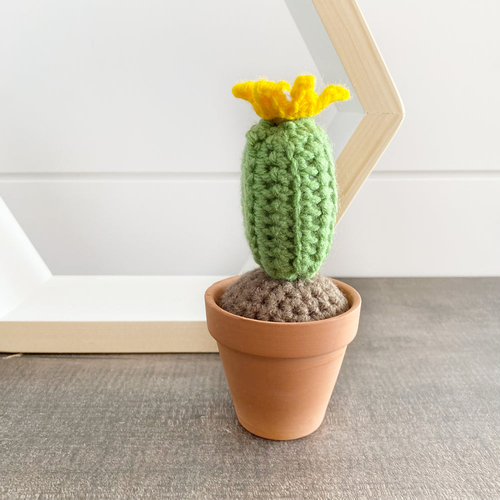 Crochet Cactus