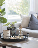 Everlasting Candles + Wylie Vase (3 colour options)