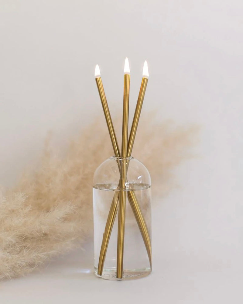 Everlasting Candles + Wylie Vase (3 colour options)