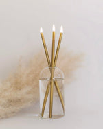 Everlasting Candles + Wylie Vase (3 colour options)