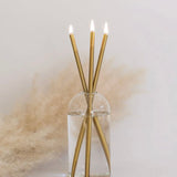 Everlasting Candles + Wylie Vase (3 colour options)