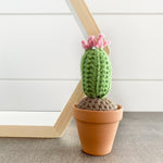 Crochet Cactus
