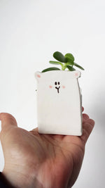 Small Animal Ceramic Planter